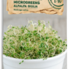 Bio Keimsprossen/Microgreens - Alfalfa Giulia 2 Bio Keimsprossen/Microgreens - Alfalfa Giulia -Windcom Geschaft samen maier bio keimsprossen microgreens alfalfa giulia 1672930 de