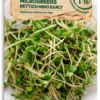 Bio Keimsprossen/Microgreens - Rucola -Windcom Geschaft samen maier bio keimsprossen microgreens rucola 1672936 de