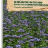 Bio Phacelia "Bienenfreund" -Windcom Geschaft samen maier bio phacelia bienenfreund 1 paket 1663366 de