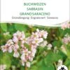 Bio Gründüngung "Buchweizen" -Windcom Geschaft sativa bio gruenduengung buchweizen 1683866 de