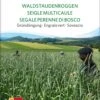 Bio Gründüngung "Waldstauden Roggen" -Windcom Geschaft sativa bio gruenduengung waldstauden roggen 1683160 de