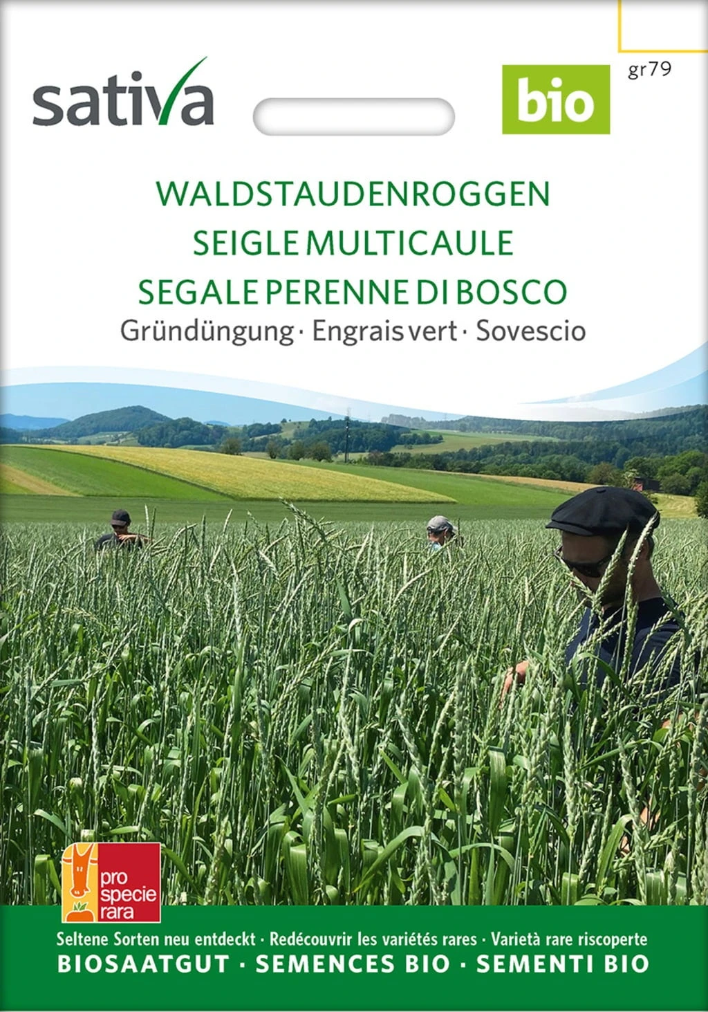 Bio Gründüngung "Waldstauden Roggen" 3 Bio Gründüngung "Waldstauden Roggen"