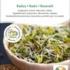 Bio Keimsprossen "Radies" -Windcom Geschaft sativa bio keimsprossen radies 1683194 de