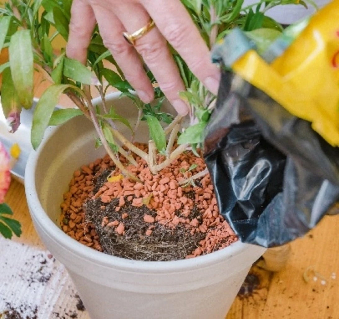 Bio-Pflanz-Granulat Für Hochbeete, Balkon- & Kübelpflanzen, 12,50 L 6 Bio-Pflanz-Granulat Für Hochbeete, Balkon- & Kübelpflanzen, 12,50 L – Bild 4