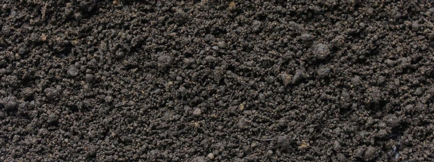 Bio Hochbeeterde, 20 Liter 4 Bio Hochbeeterde, 20 Liter – Bild 2