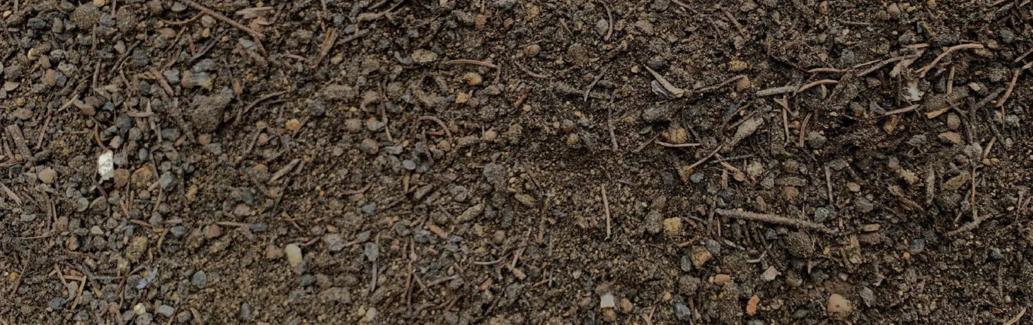 Bio Moorbeeterde, 20 Liter 4 Bio Moorbeeterde, 20 Liter – Bild 2