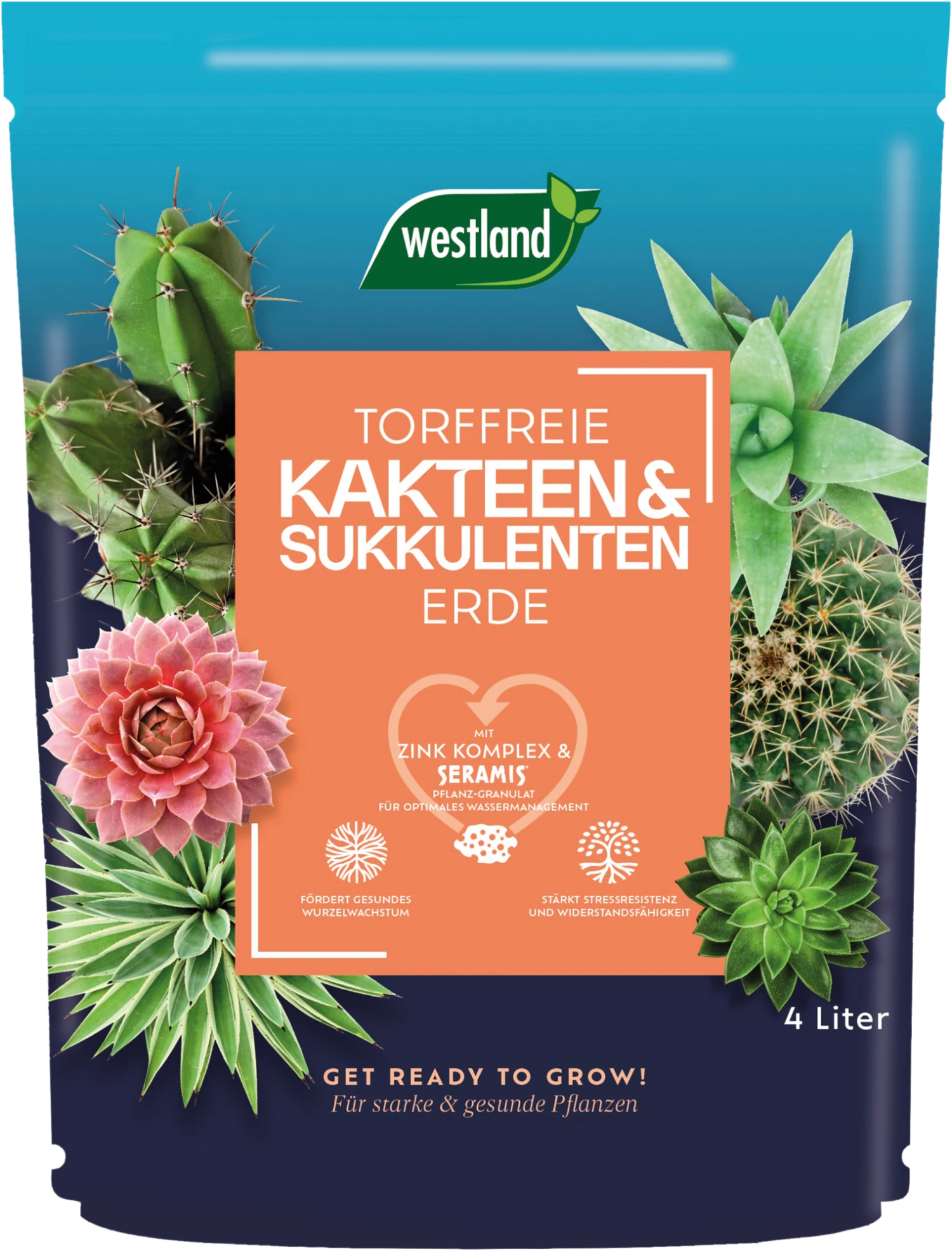 Westland Kakteen & Sukkulenten Erde TF, 4 L 3 Westland Kakteen & Sukkulenten Erde TF, 4 L