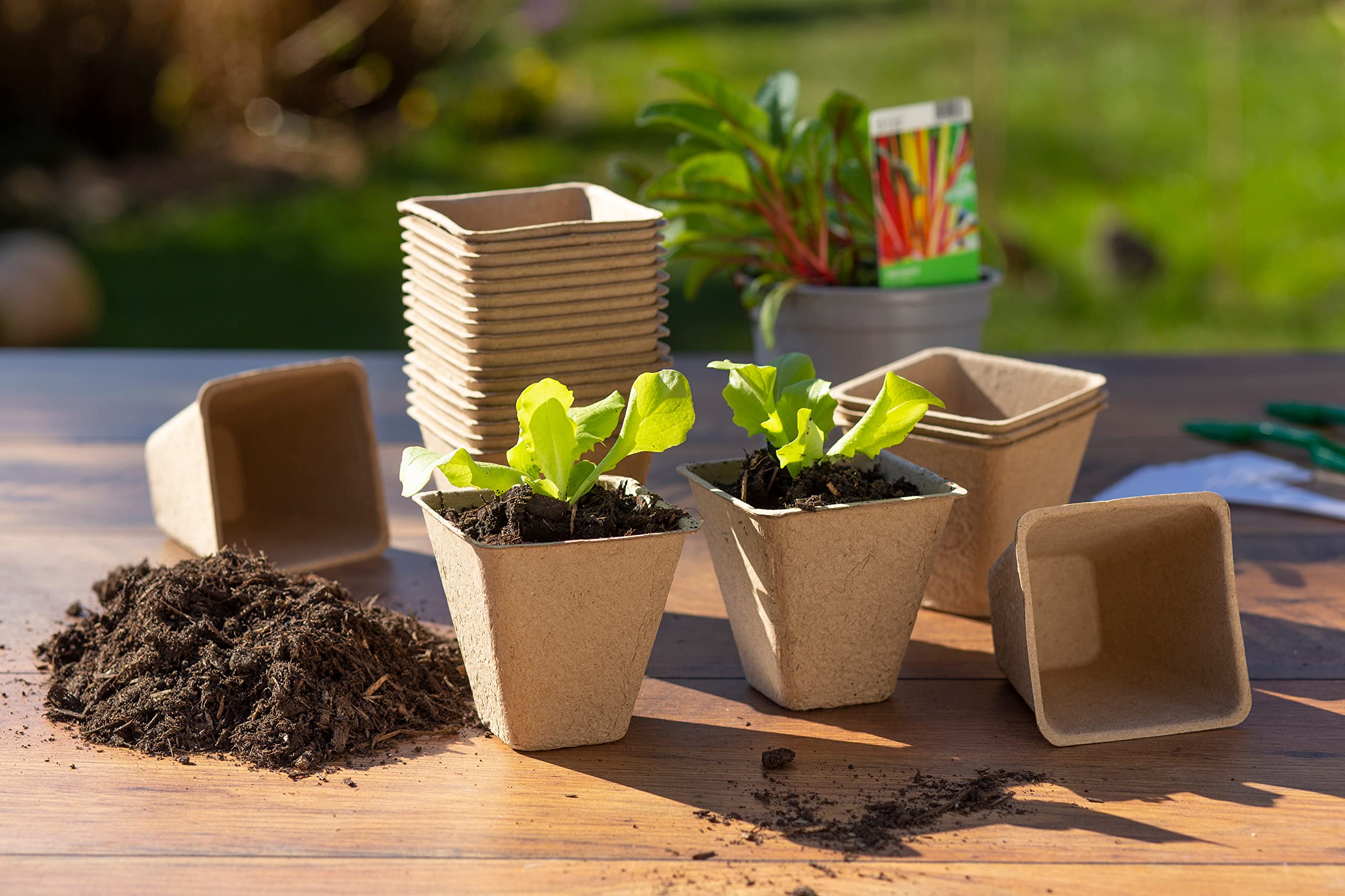 Windcom Geschaft 2 Windcom Geschaft -Windcom Geschaft 816zQE1sR7L